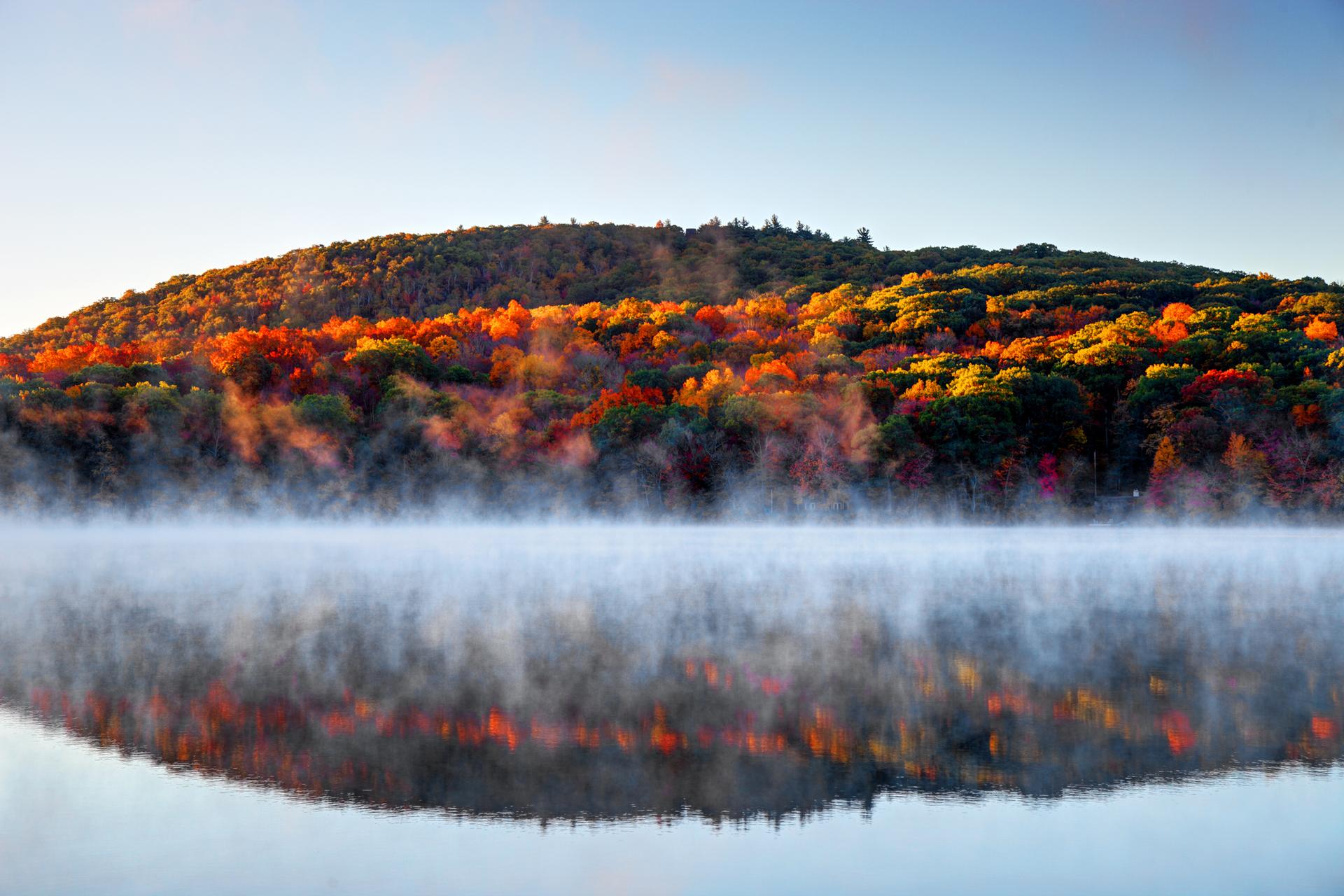 Bantam in the fall